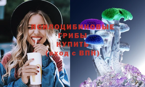 спайс Арсеньев