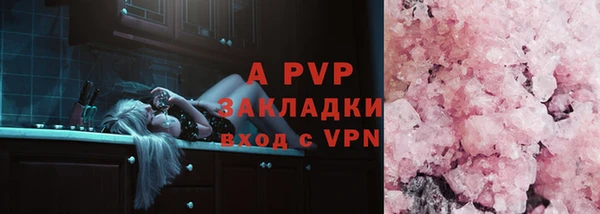 спайс Арсеньев