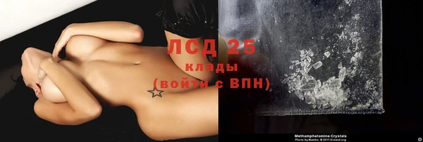 спайс Арсеньев