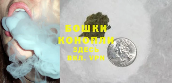 спайс Арсеньев