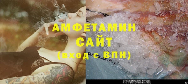 молекула духа Осташков