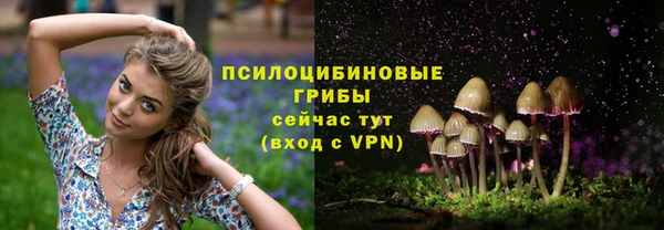 спайс Арсеньев