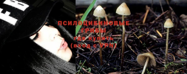 спайс Арсеньев