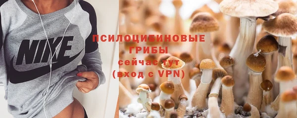 ECSTASY Армянск