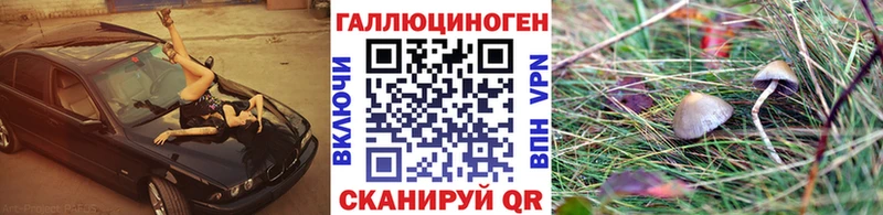 Галлюциногенные грибы Cubensis blacksprut вход Городище сколько стоит